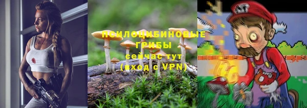 индика Ессентукская