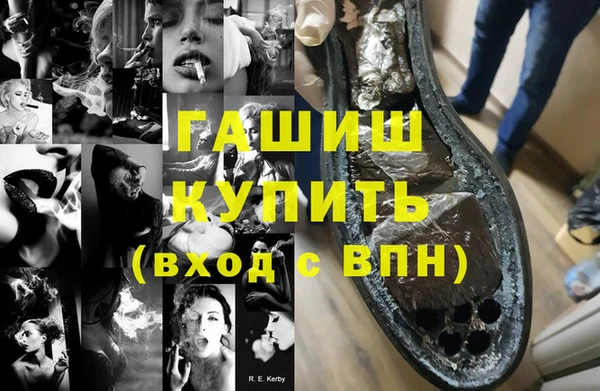 индика Ессентукская