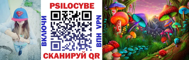 Купить закладки  Котельники  Псилоцибиновые грибы прущие грибы 